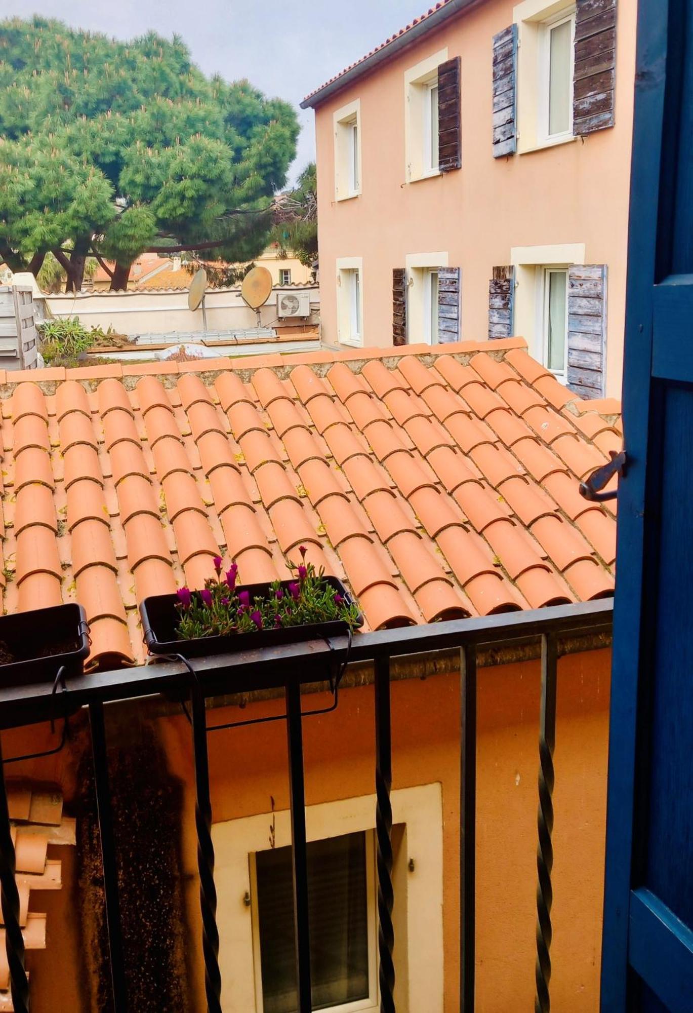 Chambres Rue De La Republique Collioure Exteriér fotografie