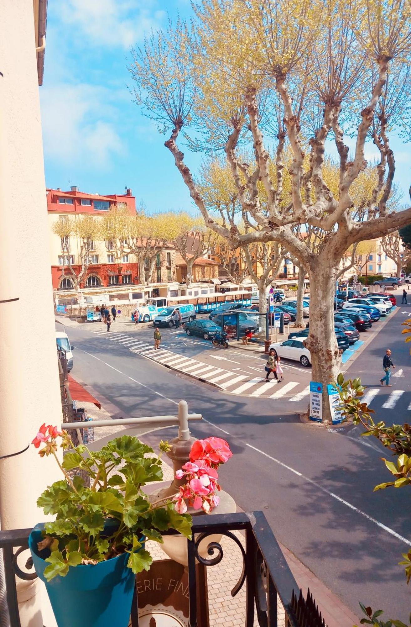 Chambres Rue De La Republique Collioure Exteriér fotografie